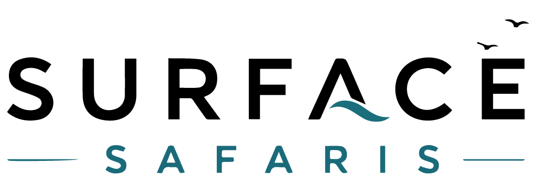Surface Safaris