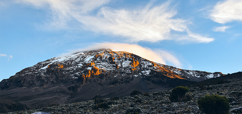 Kilimanjaro