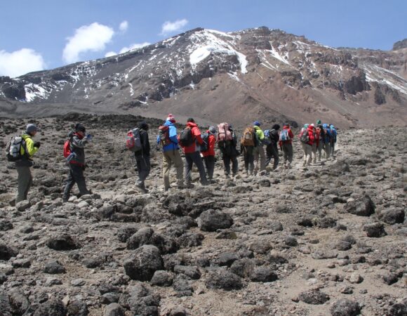 Kilimanjaro climb through Lemosho route (7 days on the Mountain)