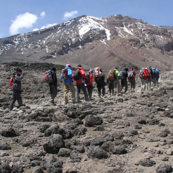 Kilimanjaro climb through Lemosho route (7 days on the Mountain)