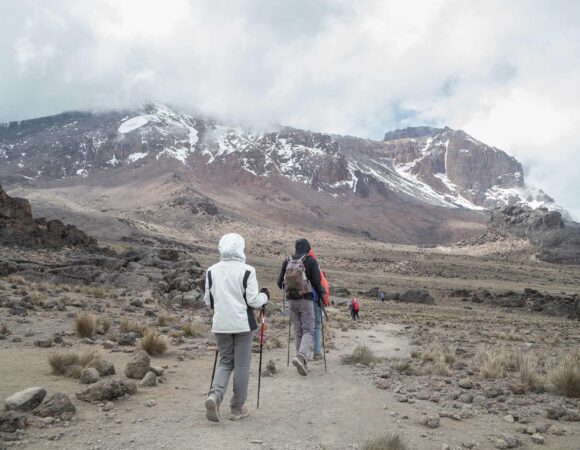 Kilimanjaro Climb Marangu Route (6 days climb )