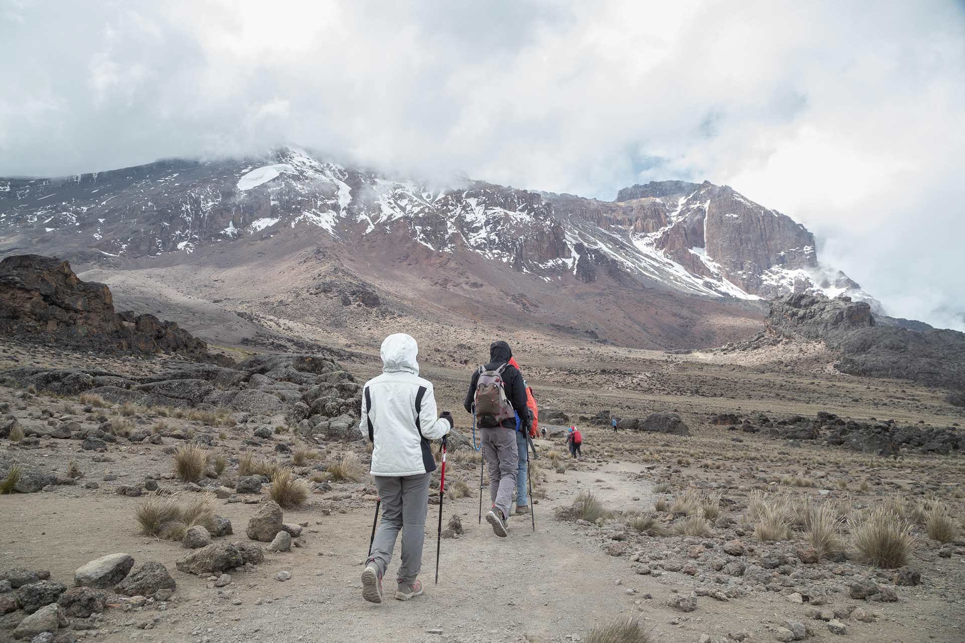 Kilimanjaro Climb Marangu Route (6 days climb )