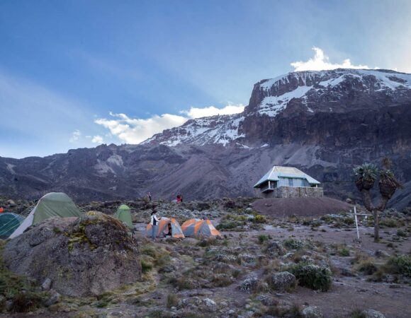 Seven days Machame route climb (7 days on the mountain)