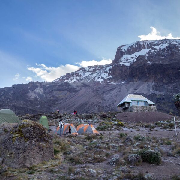 Seven days Machame route climb (7 days on the mountain)
