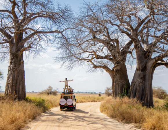 Things to See and Do When Visiting Tarangire National Park