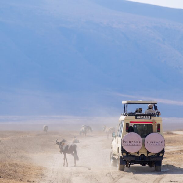Kilimanjaro climb through Lemosho route (7 days on the Mountain)