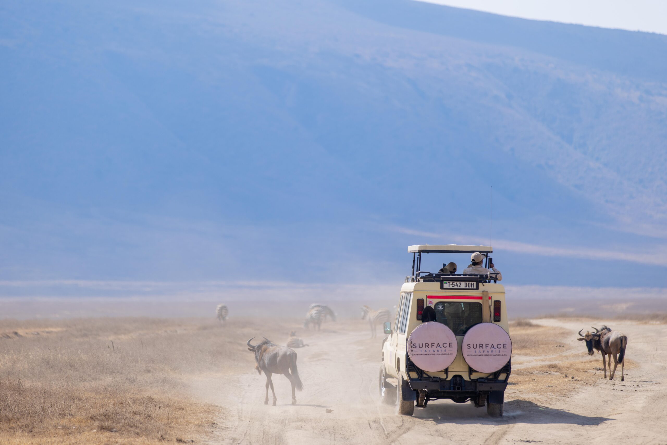 Kilimanjaro climb through Lemosho route (7 days on the Mountain)
