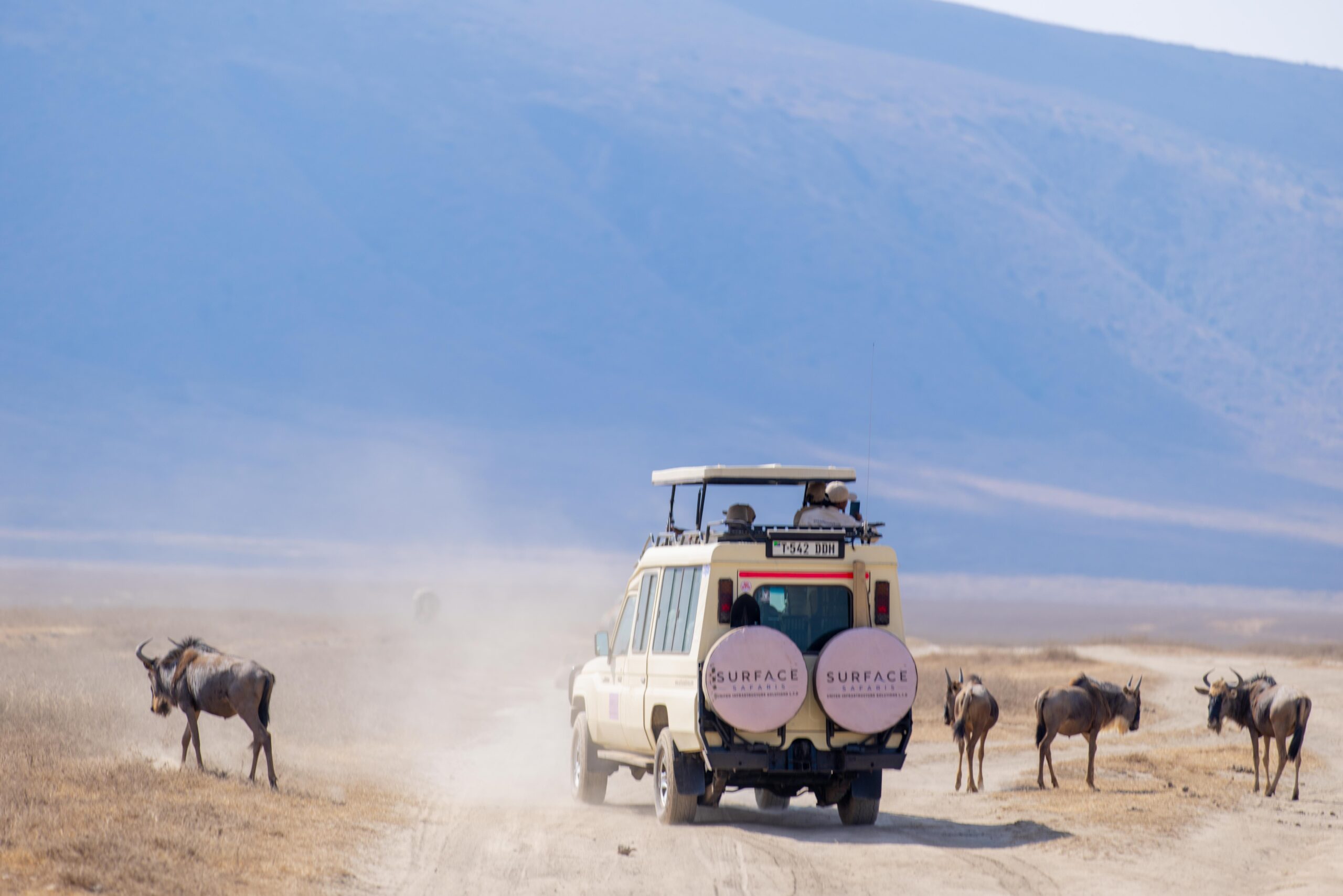 Ngorongoro Crater